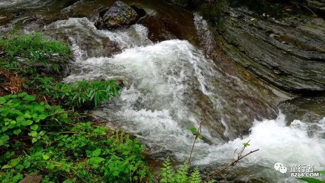 莫雷岛逃脱