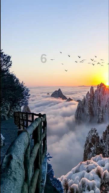 春雨直播app